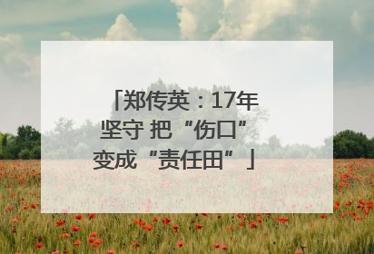 郑传英：17年坚守 把“伤口”变成“责任田”